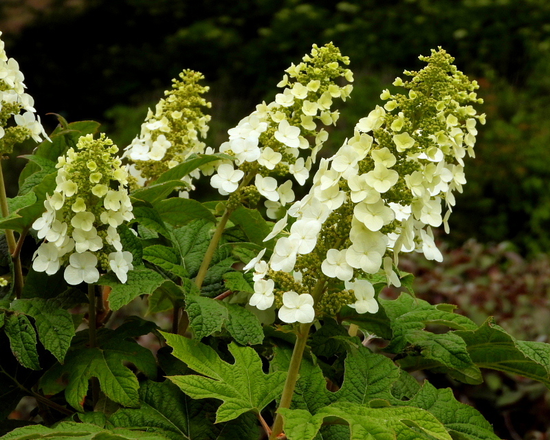 c0305565_17521662.jpg
