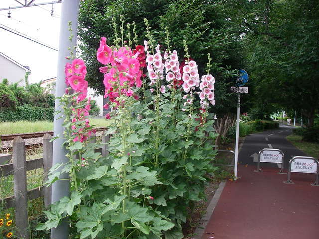 a0074069_16294322.jpg