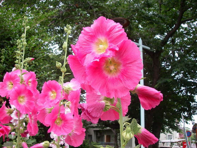 a0074069_16294812.jpg