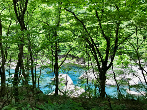 b0299869_22324400.jpg