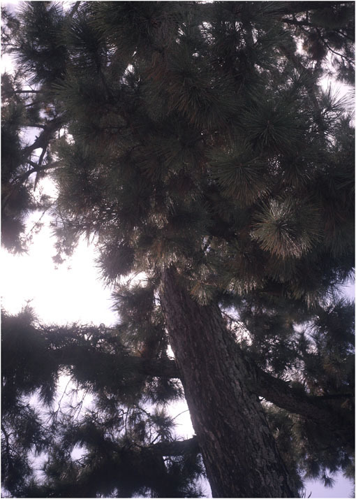 c0168172_22555001.jpg
