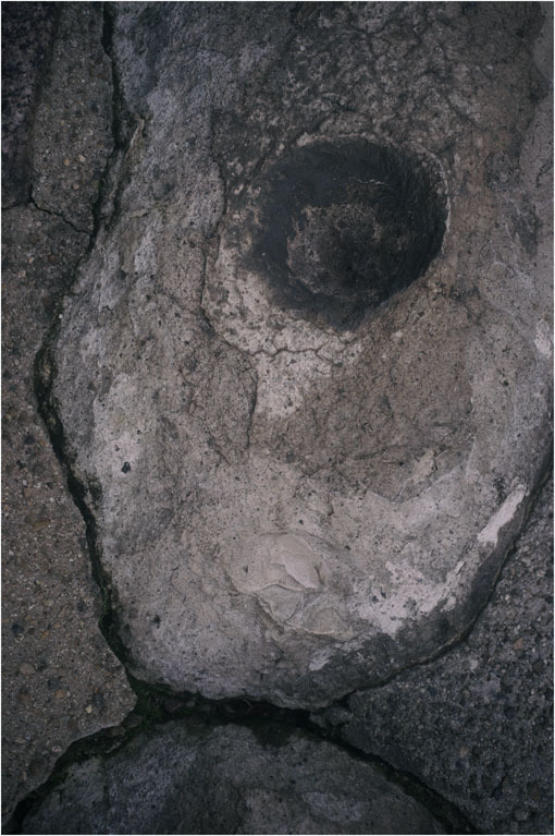 c0168172_22572288.jpg