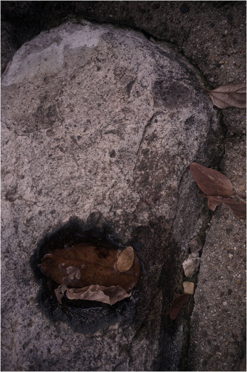 c0168172_22572913.jpg