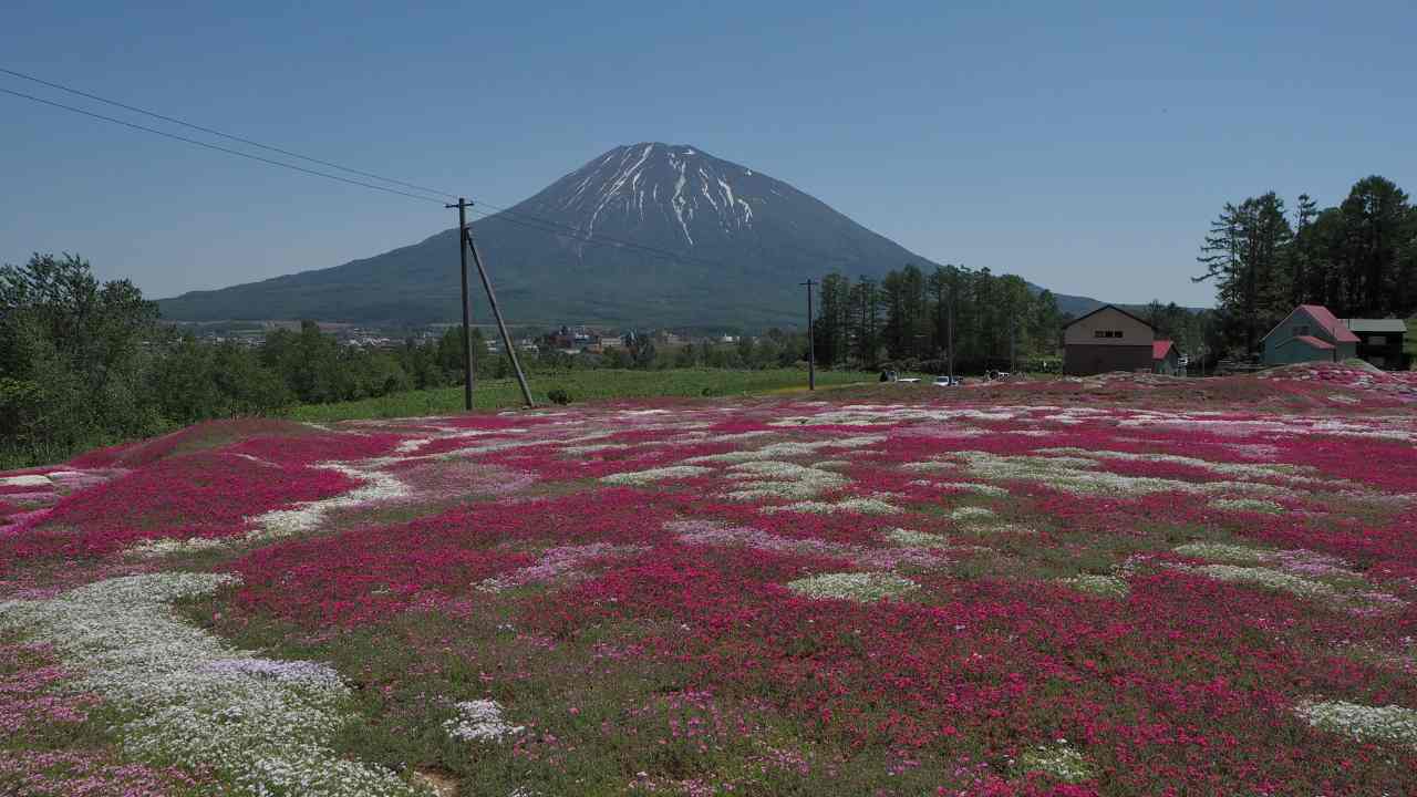 c0183777_565439.jpg