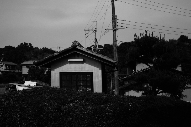 f0167977_17030025.jpg