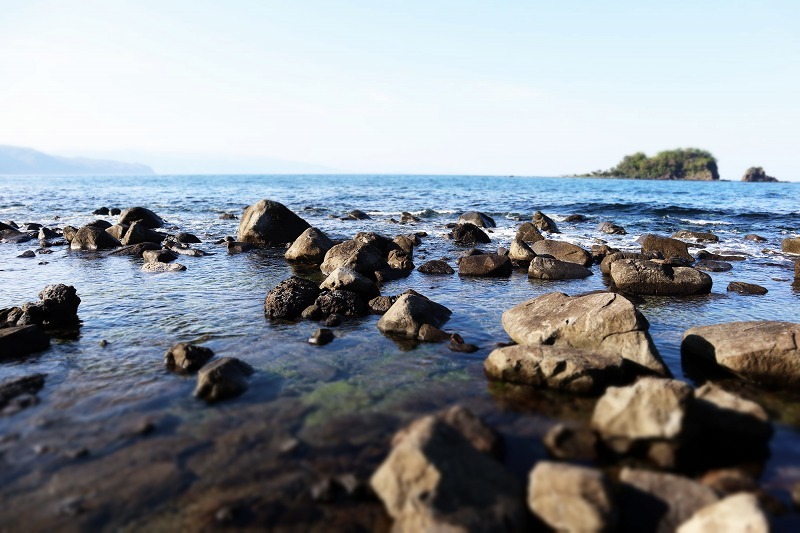 e0374581_00015337.jpg