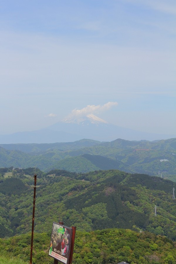 e0374581_00190928.jpg
