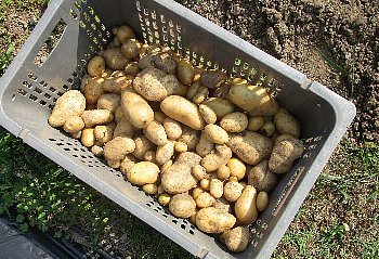 f0003283_22352802.jpg
