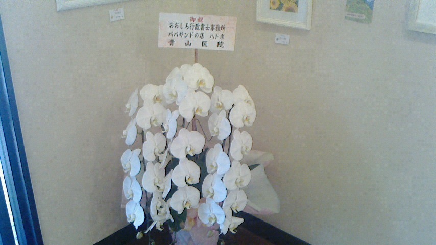 f0131183_22130823.jpg