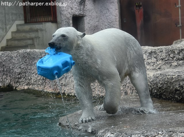 2019年4月 とくしま動物園 その1_a0052986_737568.jpg