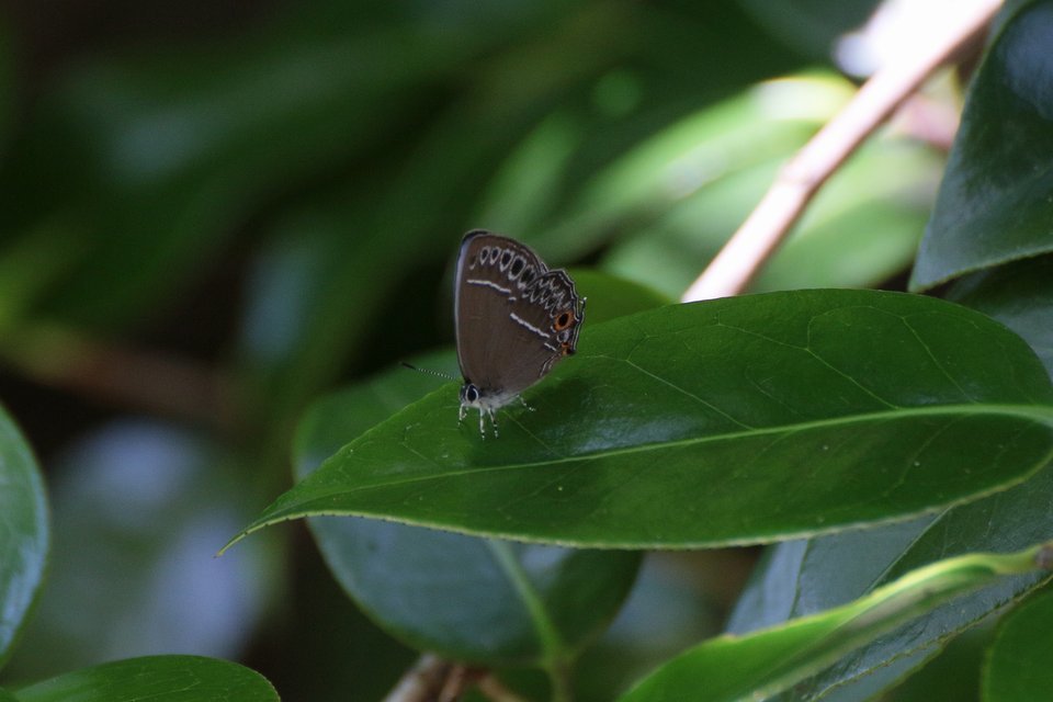 f0373486_23531378.jpg