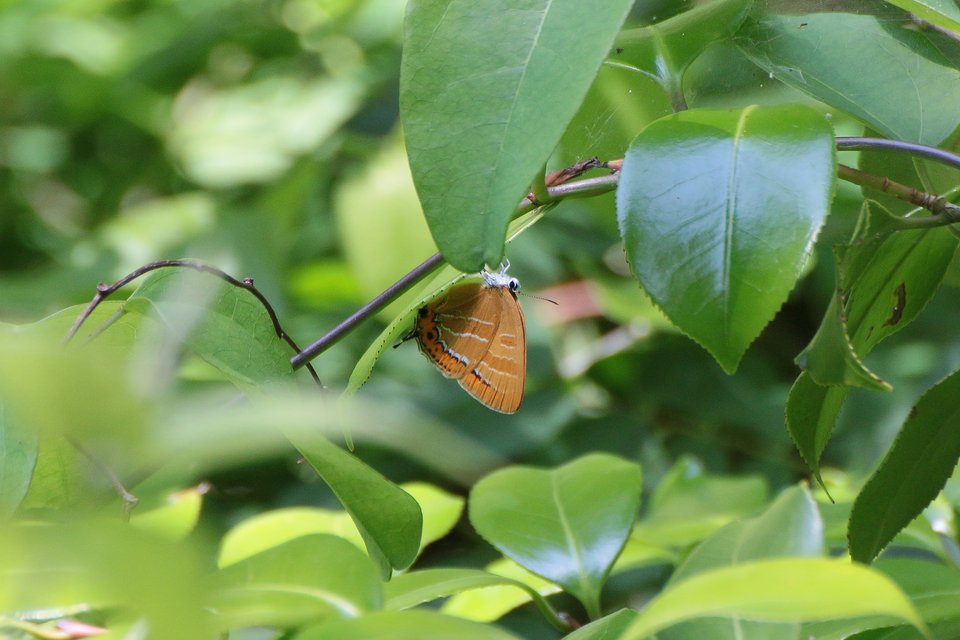 f0373486_23535728.jpg