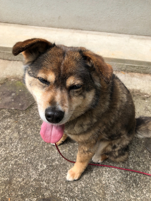 私的ブログ…久々なんで長いし…汗…ソロツーよかったです…編(^^)_d0132688_19343542.jpg