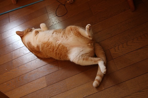 そのままで_a0333195_22174309.jpg