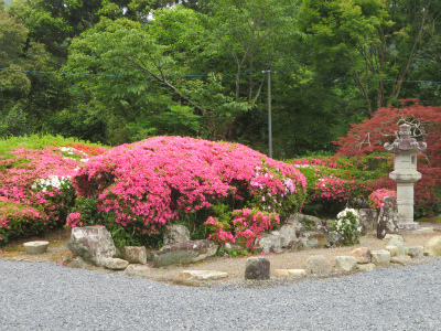 上富田町観音寺へ　2019.6.7_c0125501_11301794.jpg