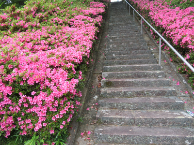 上富田町観音寺へ　2019.6.7_c0125501_11303107.jpg