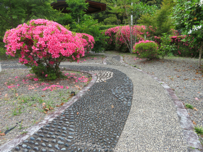 上富田町観音寺へ　2019.6.7_c0125501_11442272.jpg