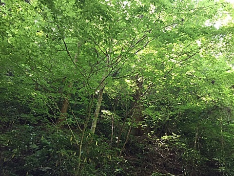 d0046702_16051535.jpg