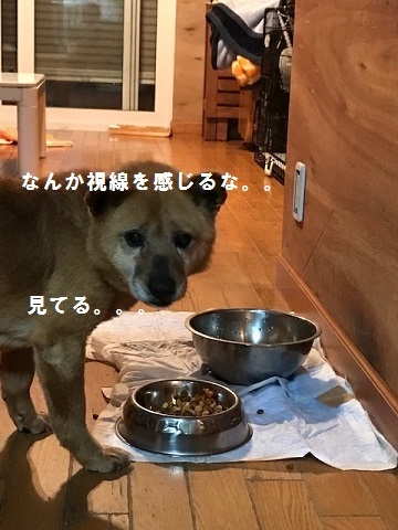 やっと見えてきたような。。_f0242002_11025276.jpg