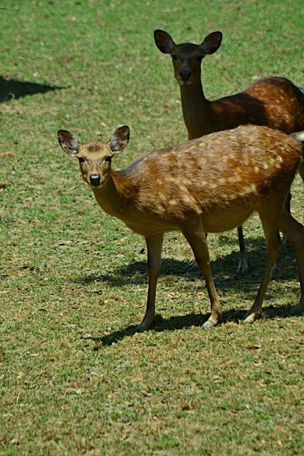 a0240403_17111825.jpg