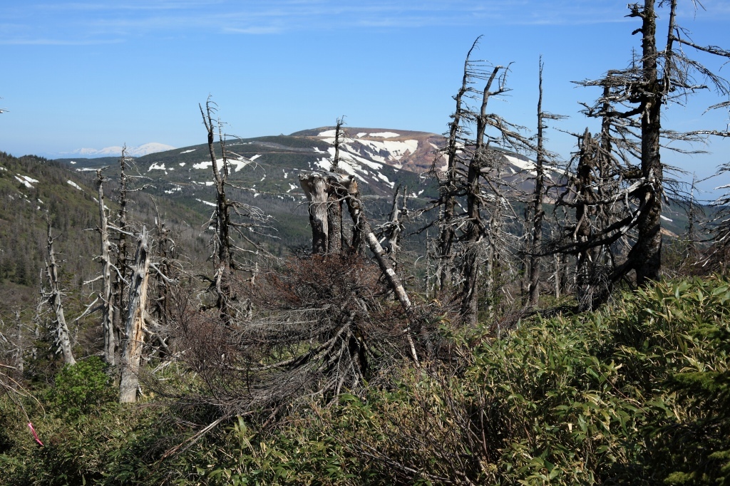 b0050305_19242277.jpg