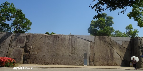 c0051105_14372514.jpg