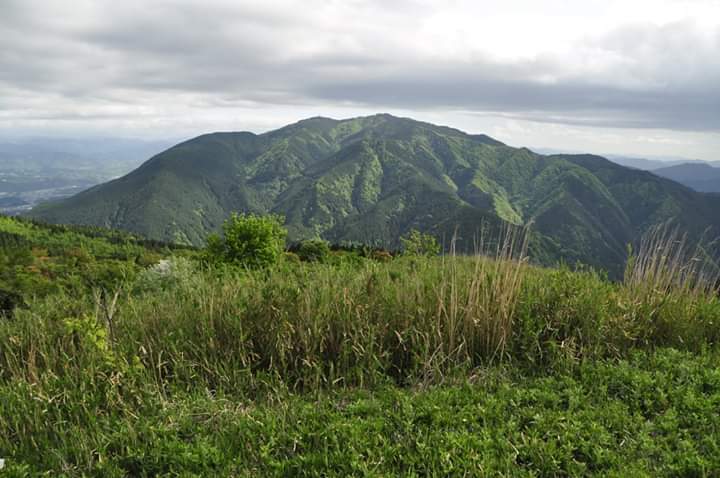 琵琶湖疎水船と、ツツジ咲く大和葛城山(*^^*)♪_d0296106_16452755.jpg