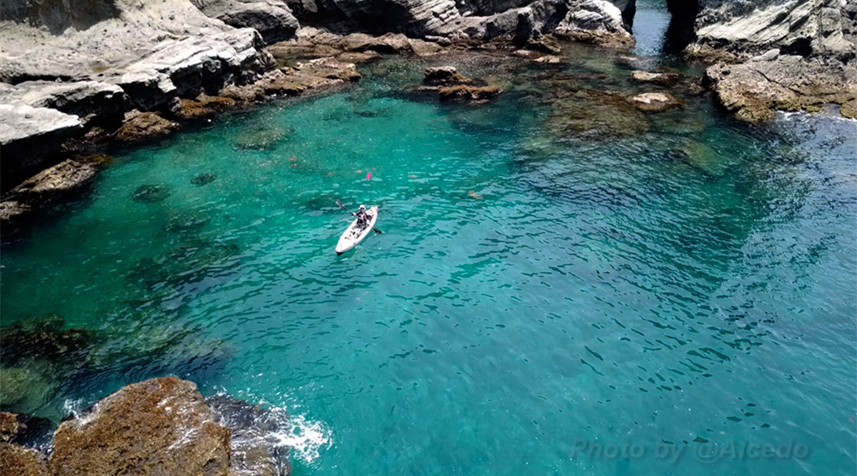 浮島海岸 カワセミ王国 浮島海岸 カワセミ王国