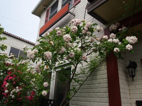 c0117007_20560074.jpg