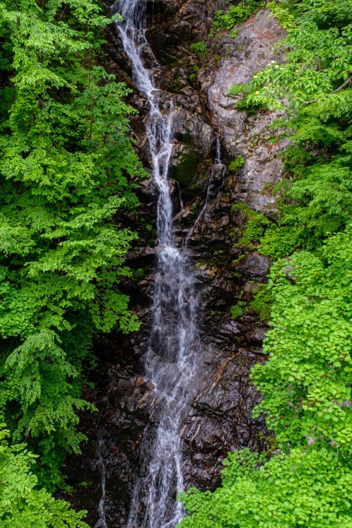 f0302208_21261337.jpg