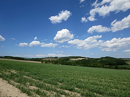 f0060310_17011343.jpg
