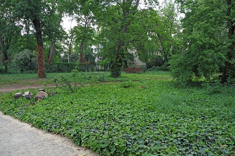 a0151913_5311753.jpg