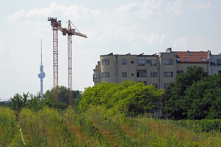 a0151913_830194.jpg