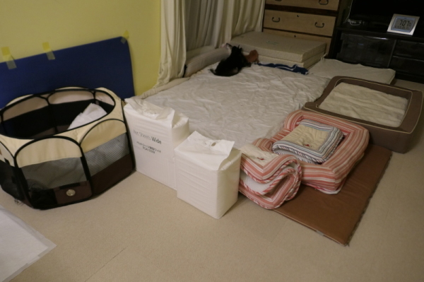 f0369014_11301775.jpg