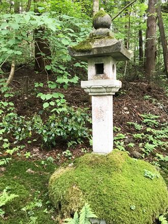 福井県勝山市に苔の寺を訪ねる_e0398517_21365949.jpg