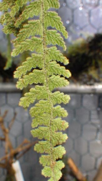 d0187020_19280438.jpg