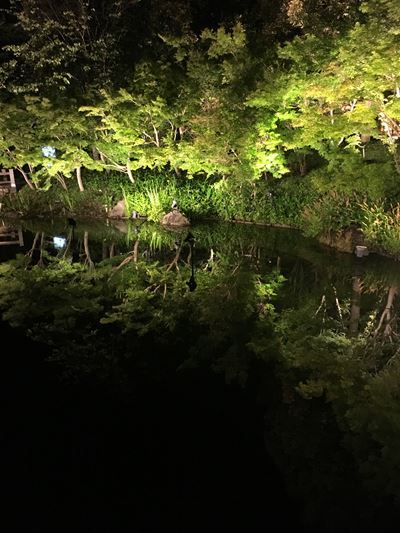c0114121_00313157.jpg