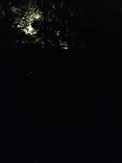 c0114121_01042300.jpg