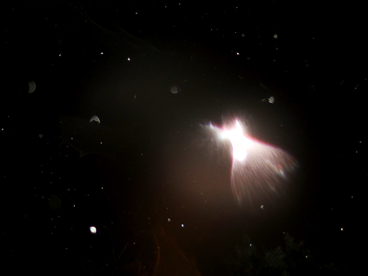 c0331825_04283036.jpg