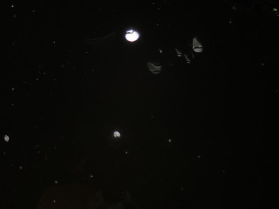 c0331825_04592940.jpg