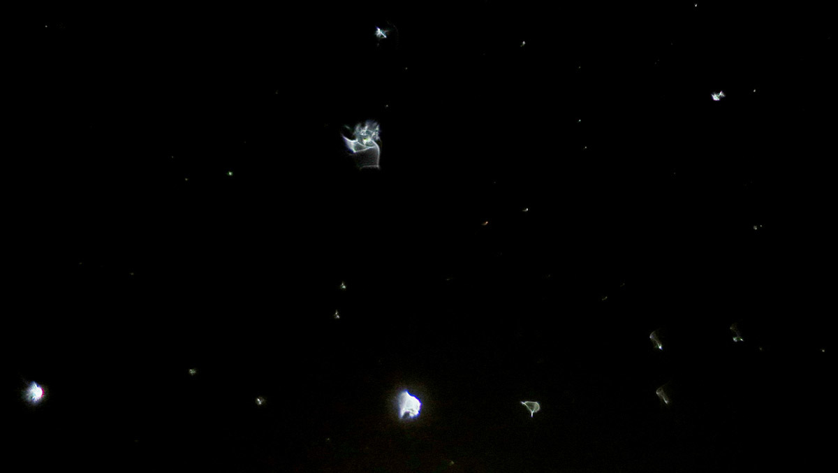 c0331825_04594923.jpg