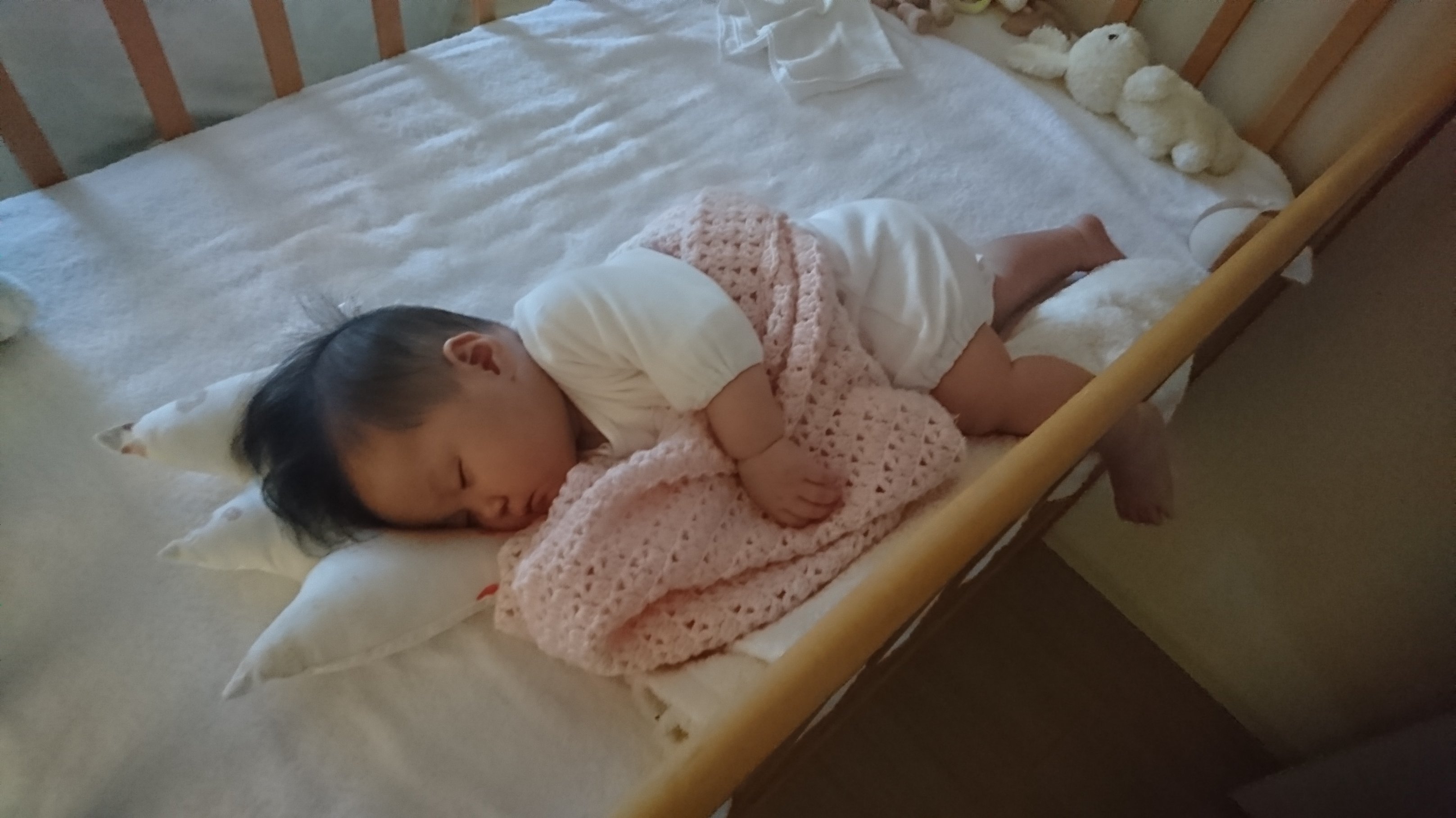 d0162225_16312050.jpeg