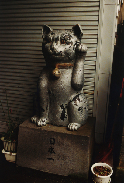 展覧会「NEKO PROJECT」_b0187229_07514232.jpg