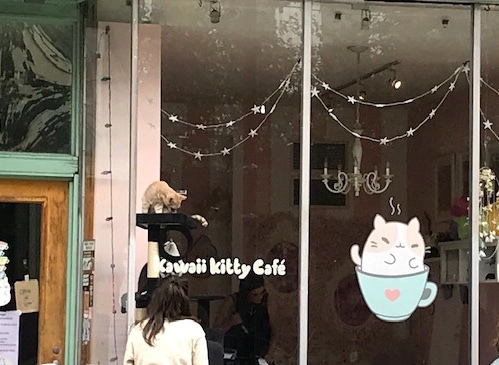 d0269832_03471882.jpeg