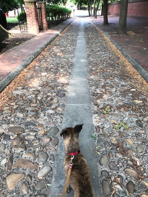 d0269832_03532020.jpeg