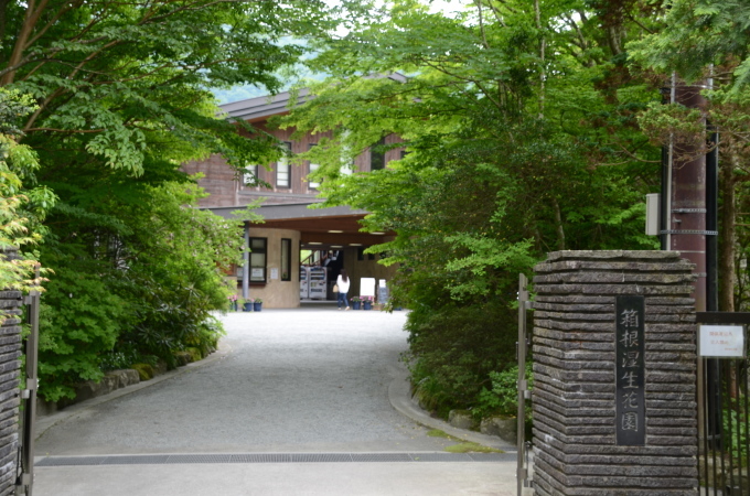 箱根湿性花園の花々と長安寺の五百羅漢を撮る アクティブシニア 庭よしのつぶやき 箱根湿性花園の花々と長安寺の五百羅漢を撮る アクティブシニア 庭よしのつぶやき