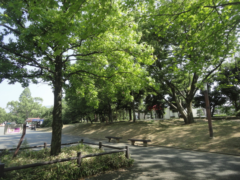 d0359338_15000865.jpg