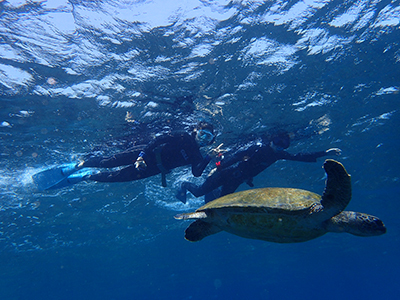 b0189640_13213659.jpg