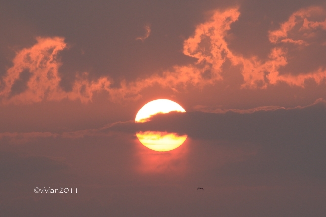 茨城 大洗海岸へ撮影に with 写真研究会_e0227942_21450570.jpg