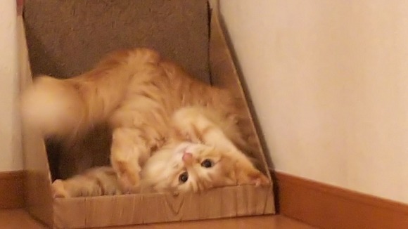 うらぁ~~!!_c0259945_10324040.jpg